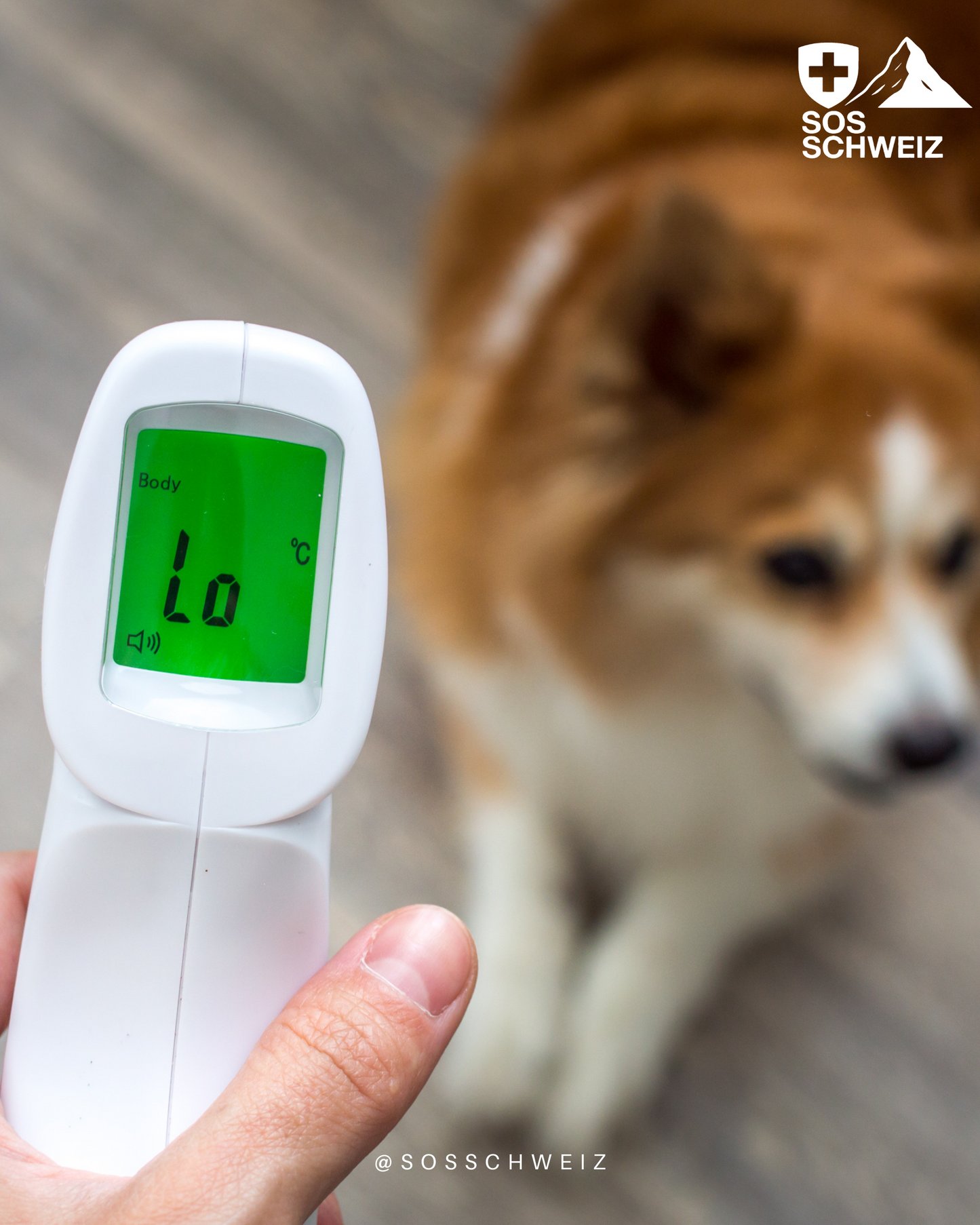 Non-contact Body Temperature Measure