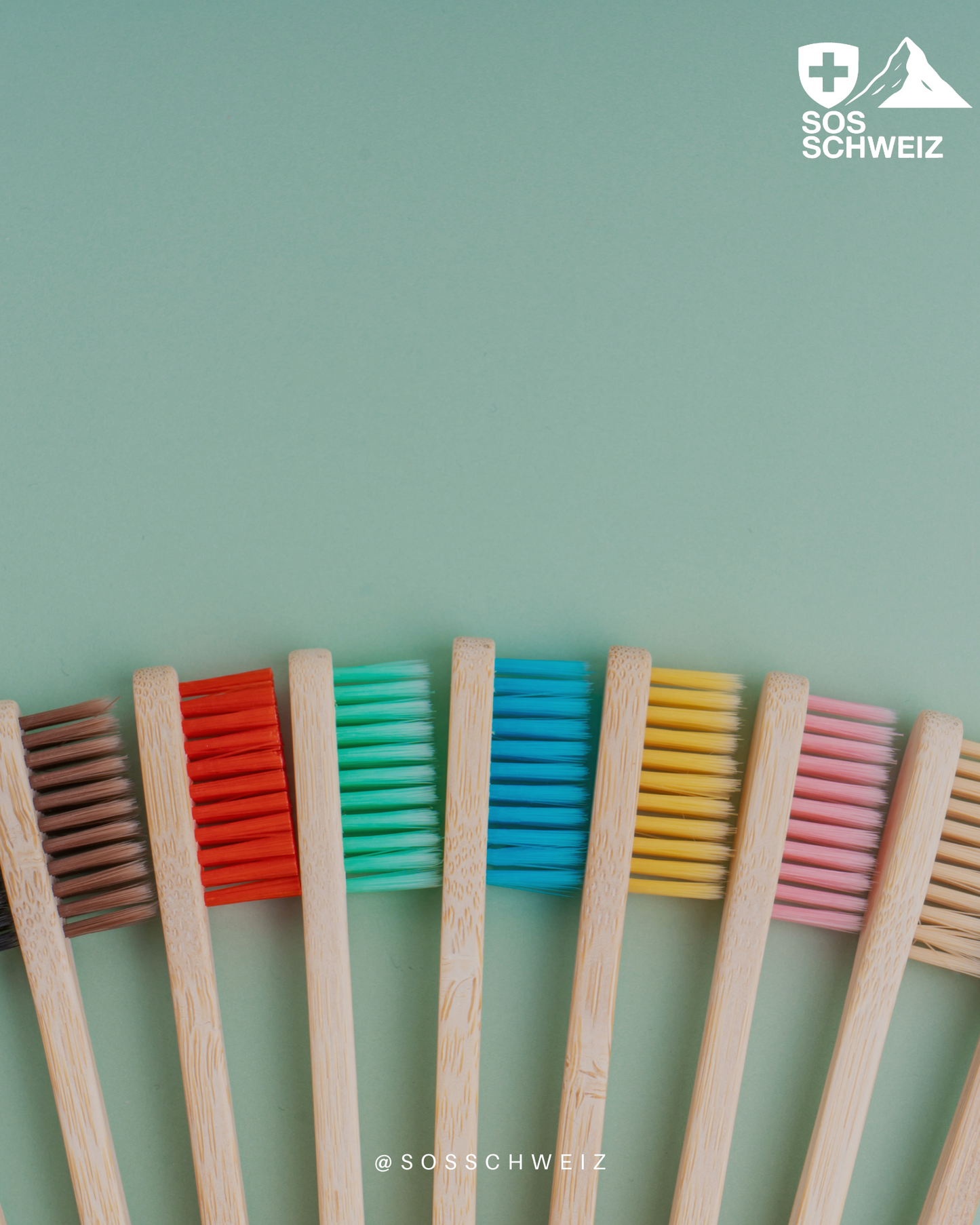 Reusable Bamboo Toothbrushes